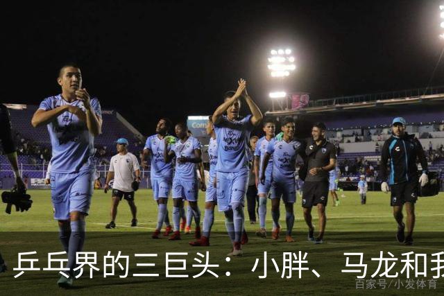 乒乓界的三巨头：小胖、马龙和我的幽默传奇