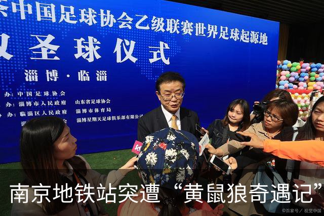 南京地铁站突遭“黄鼠狼奇遇记”，工作人员忙加固防线