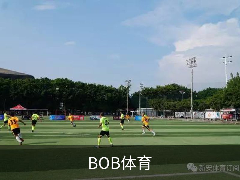 BOB体育介绍